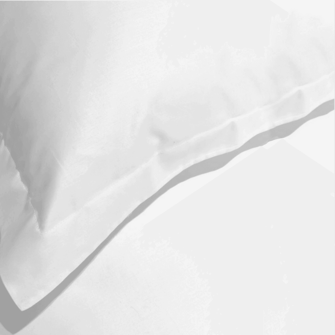 Luxury White Sham with Zipper Closure | Beddley Standard 2-Pack